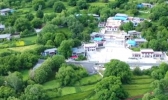 西藏林芝千年核桃林怎么回事 西藏林芝千年核桃林长什么样