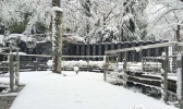 江苏雨雪阻交通 285班客运停运航班大面积延误