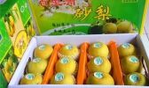 宜昌有哪些特色水果 湖北宜昌特产