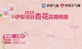 塞外江南展春颜 2018伊犁杏花花期预报来了