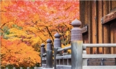 日本京都岚山寺庙推荐