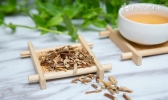 鱼腥草的作用与功效
