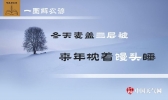 为何说“冬天麦盖三层被 来年枕着馒头睡”？