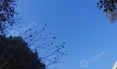 未来三天湖南晴朗干燥 昼夜温差普遍超10℃