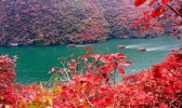 重庆巫山红叶什么时候最好 重庆巫山红叶节2019