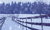 河北在新一轮冷空气袭击下气温走低 明后天大部有雨雪