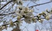 下周辽宁大幅升温将破20℃ 两场小雨来扰回暖有波折