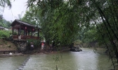 上海：今日阳光暂停，小雨来扰