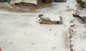 北京北部山区今有零星小雪 周末有望冷出“新低度”
