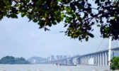 虎门大桥在哪个城市 虎门大桥具体在哪里