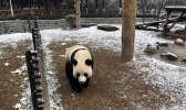 山东济南等地迎来初雪 发布今冬首个道路结冰黄色预警