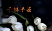干锅平菇的做法