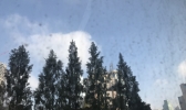 【上海】今晨创新低！下周天气看过来！