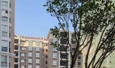 湖南天气晴朗气温升  “四九”天暖如“九九”