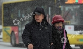 黑龙江多地降大到暴雪  高速封闭通行受阻