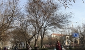 直降12℃！ 未来三天河北气温将现断崖式下跌