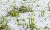 全国自然灾情最新消息汇总（2019年3月26日发布）