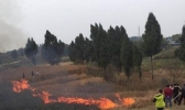 河北保定一村民吸烟引发山火 火被扑灭无人伤亡