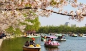 北京开启大风降温模式 明日最高气温跌至11℃