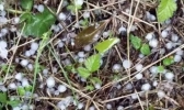 浙江雨势加强气温骤降 绍兴宁波等有大到暴雨