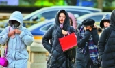 北京最高气温降至11℃ 未来三天多云为主