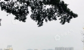 暴雨侵袭福建东南部 气温起伏明显