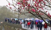 未来三天广西降温降雨 今日南宁气温25℃