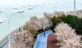 浙江局地气温降至18℃ 本周全省气温起伏较大