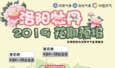 洛阳牡丹花期预报出炉 今年花期整体延长