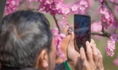 2019山东清明节天气 最高29℃有7级阵风