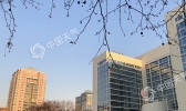 北京气温持续回升4日或达27℃ 清明假期将回落