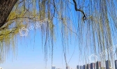 河北4日气温逼近30℃ 大部林区达火险最高等级