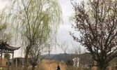 2019清明节雨纷纷的具体地点在哪里？南方多雨北方雨歇歇