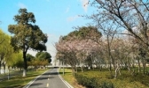 江苏局地气温回升至19℃ 清明期间全省天气晴朗
