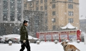 内蒙古清明假日风雪相伴 气温下降