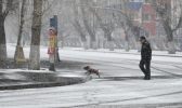 重回冬季！内蒙古呼伦贝尔迎春雪
