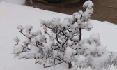 河北迎来大范围雨雪天气 保定山区降大雪