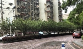 再冷1天 明起湖北气温重回20℃