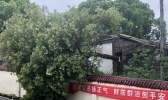 今天湖南多地迎来降水 气温低迷