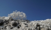 山东天气晴好 早晚最低气温仅个位数