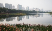 广西今明天逐渐变清凉 局地有暴雨