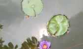 冷空气抵达广东 今起雨水来袭局地有暴雨