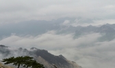 陕西华山：雨后云海竟如此壮观