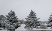 内蒙古乌拉特中旗喜迎降雪 利于牧草返青