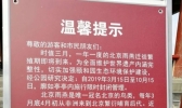 从南非到北京每年飞越3.8万公里 这种鸟从不曾失约现在却在消亡