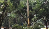 暴雨冰雹联手袭广东 全省多地下“冰”