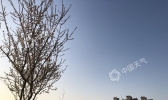 今日北京风力强劲 周日半马开跑天气利于比赛