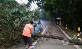 广东强对流天气持续 多地将有大到暴雨