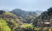 山东东南部有中雨“侵扰”出行注意交通安全