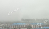 内蒙古多地迎大风沙尘天气  空气质量差